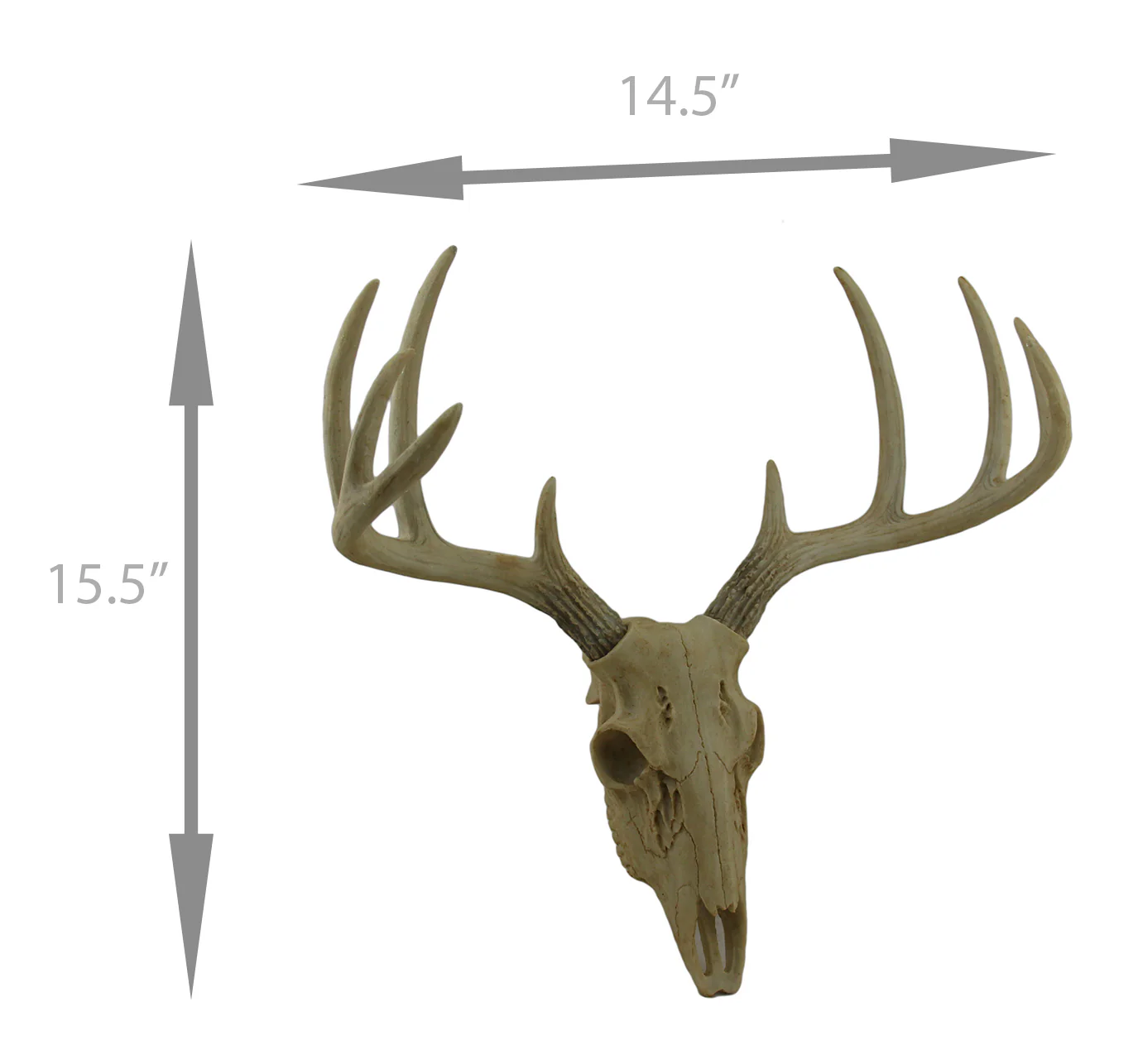 Little Bucky - 15-Inch Wall Mounted Faux Deer Skull With 10-Point Antlers - Hand-Painted Aged Finish - Lodge or Western Charm for Your Rustic Living Space - Image 4