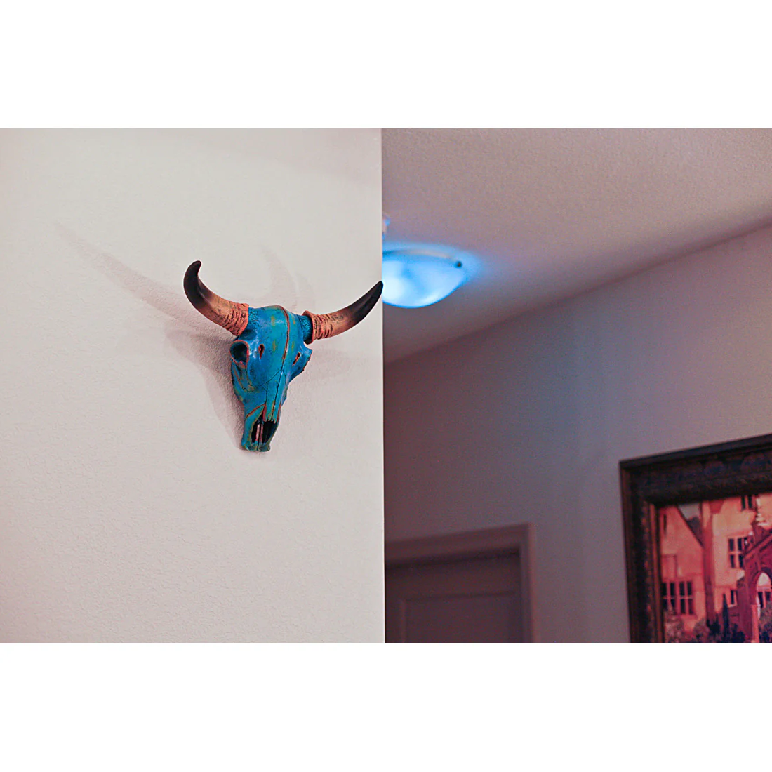 13 Inch Southwestern Turquoise Blue Painted Finish Steer Skull Wall Hanging - Image 4