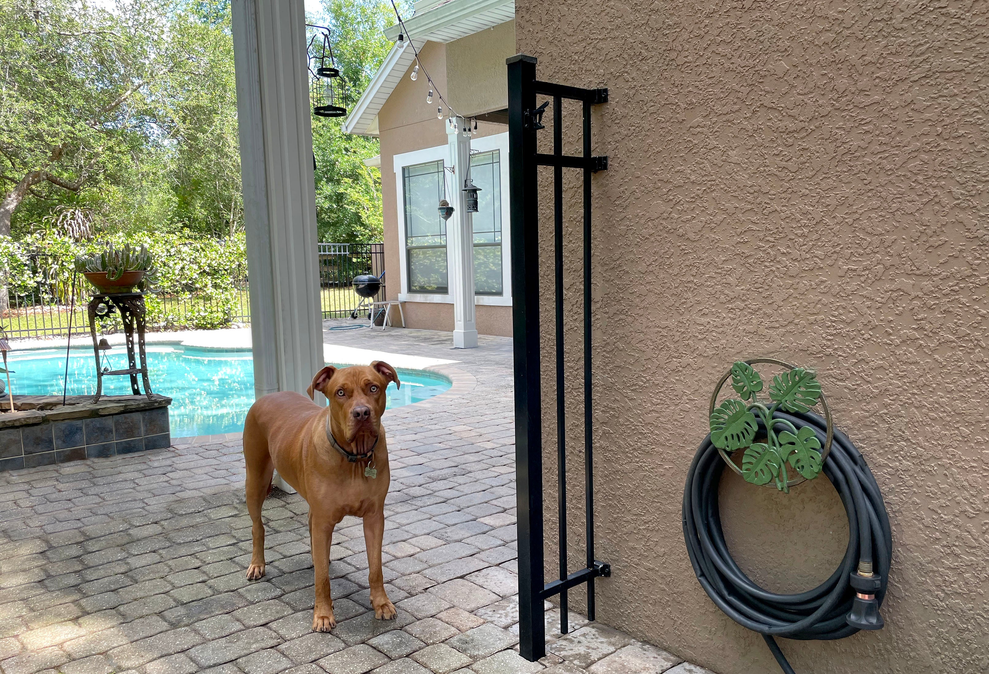 Tropical Leaf Hanging Cast Iron Decorative Wall Mounted Garden Hose Holder - Image 5